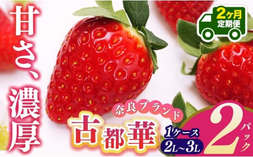 【定期便2回】平群の古都華 2L～3Lサイズ （2パック 1ケース） 計2パック | 先行予約 1月 2月 お届け いちご 苺 古都華 フルーツ 果物 くだもの ブランド 苺  甘い 大人気 旬 送料無料 濃厚 産地直送 辻本農園  奈良県 平群町