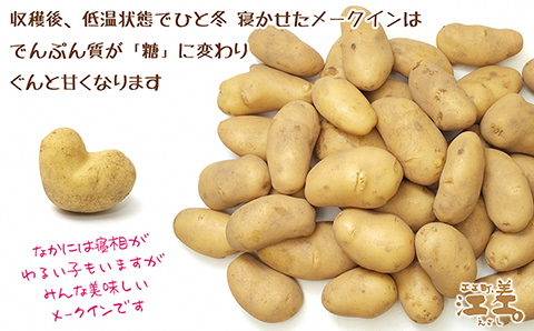 【令和7年2月発送予約】北海道産 越冬メークイン M・L混合 5kg　低温熟成　糖度アップ　農家直送　越冬じゃがいも　越冬いも　よく寝たいも　甘い　芋の塩煮にぴったり　訳あり　じゃがバター　いかの塩辛