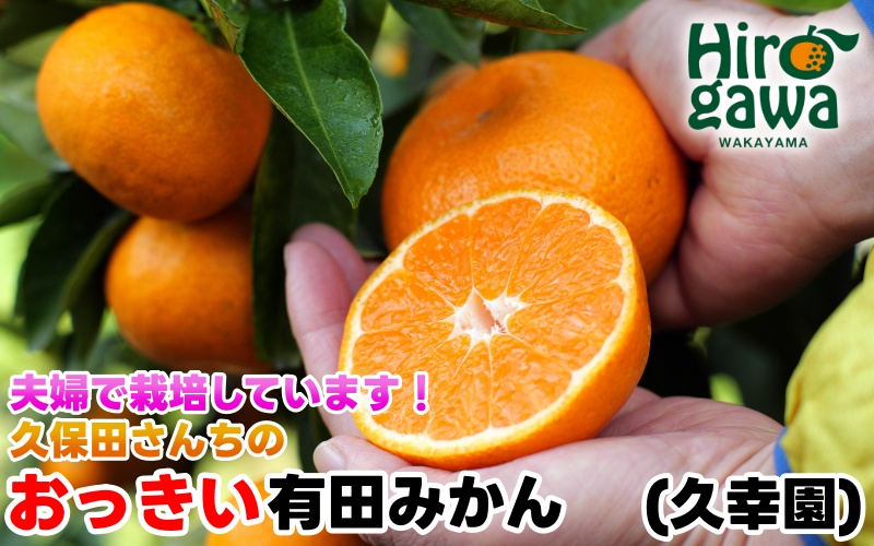 おっきい 有田 みかん 7kg 久幸園 / 温州みかん 有田みかん 甘い 大玉 和歌山 柑橘 ※12月上旬〜順次発送 【hsk004-l-7A】