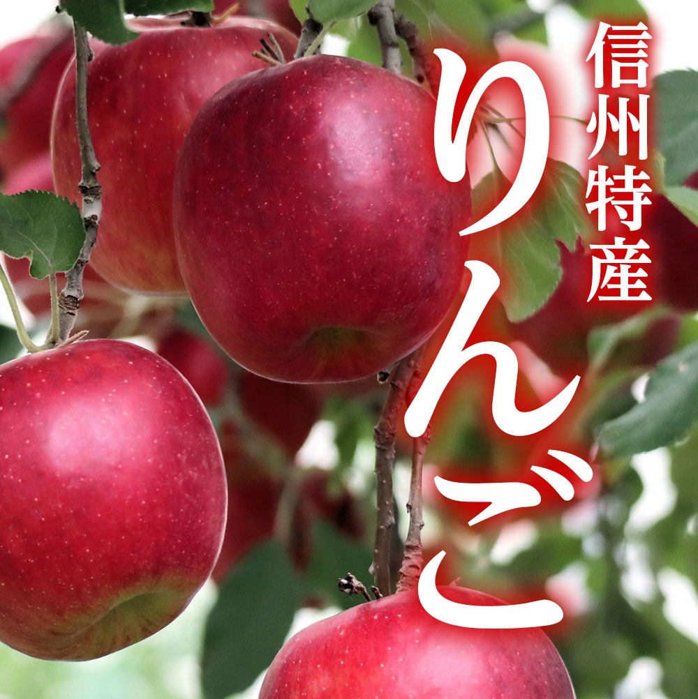 南信州高森町産 りんご　サンふじ 約3ｋｇ