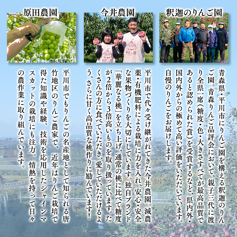 ひらかわフルーツ満喫便　3回定期コース【hi-0999-011】