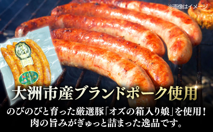 【全12回定期便】秒でプラスもう一品！ブランドポーク『オズの箱入り娘』使用！特製ウインナー（5本入り）×3袋 合計360g 豚肉 小分け 切り落としベーコン 愛媛県大洲市/株式会社オズメッセ [AGA