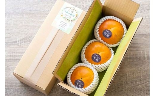 
            【特選★糖度18度以上】大磯の大玉柿『太秋』3個入り（約1kg）〈出荷時期:2025年10月中旬～2025年11月中旬〉【 神奈川県 大磯町 】
          