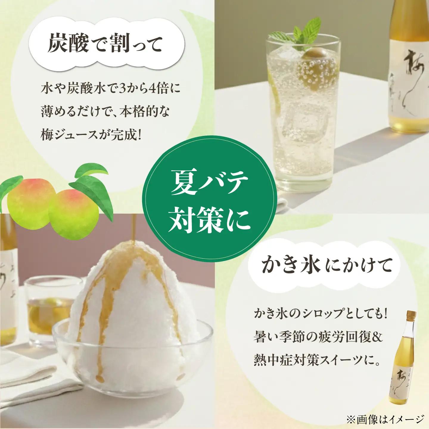 【お中元対象】梅シロップ 七折小梅の梅シロップ 500ml×2本 梅シロップ BJAG001