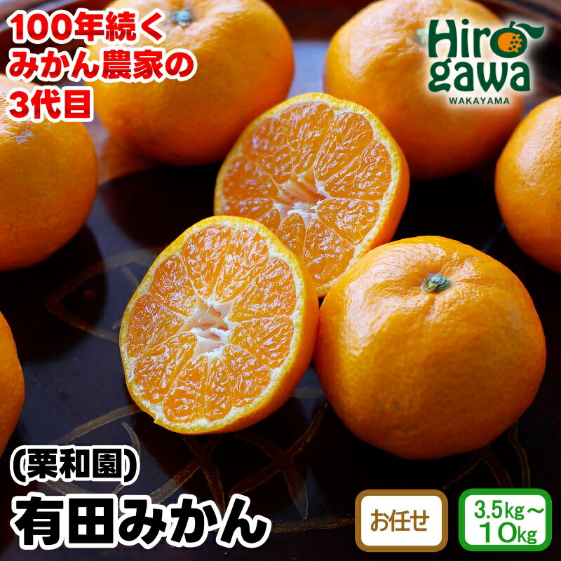 【ふるさと納税】 有田 みかん 栗和園 / 温州みかん 有田みかん 甘い 和歌山 柑橘 3.5～10kg 9000円 10000円 ※2026年11月上旬～12月下旬に順次発送 //mandarin