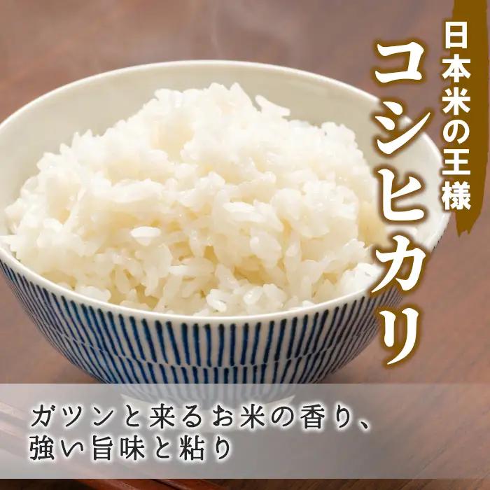令和7年産 コシヒカリ 米 3kg 白米 精米 東白川村産 岐阜県 お米 こめ 精米 ご飯 米 おにぎり
