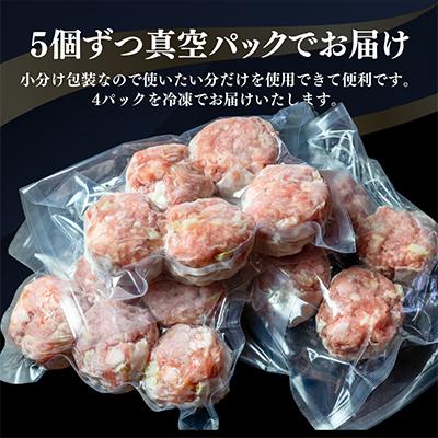 ふるさと納税 舞鶴市 ほたて焼売(シューマイ) 20個入り |  | 02