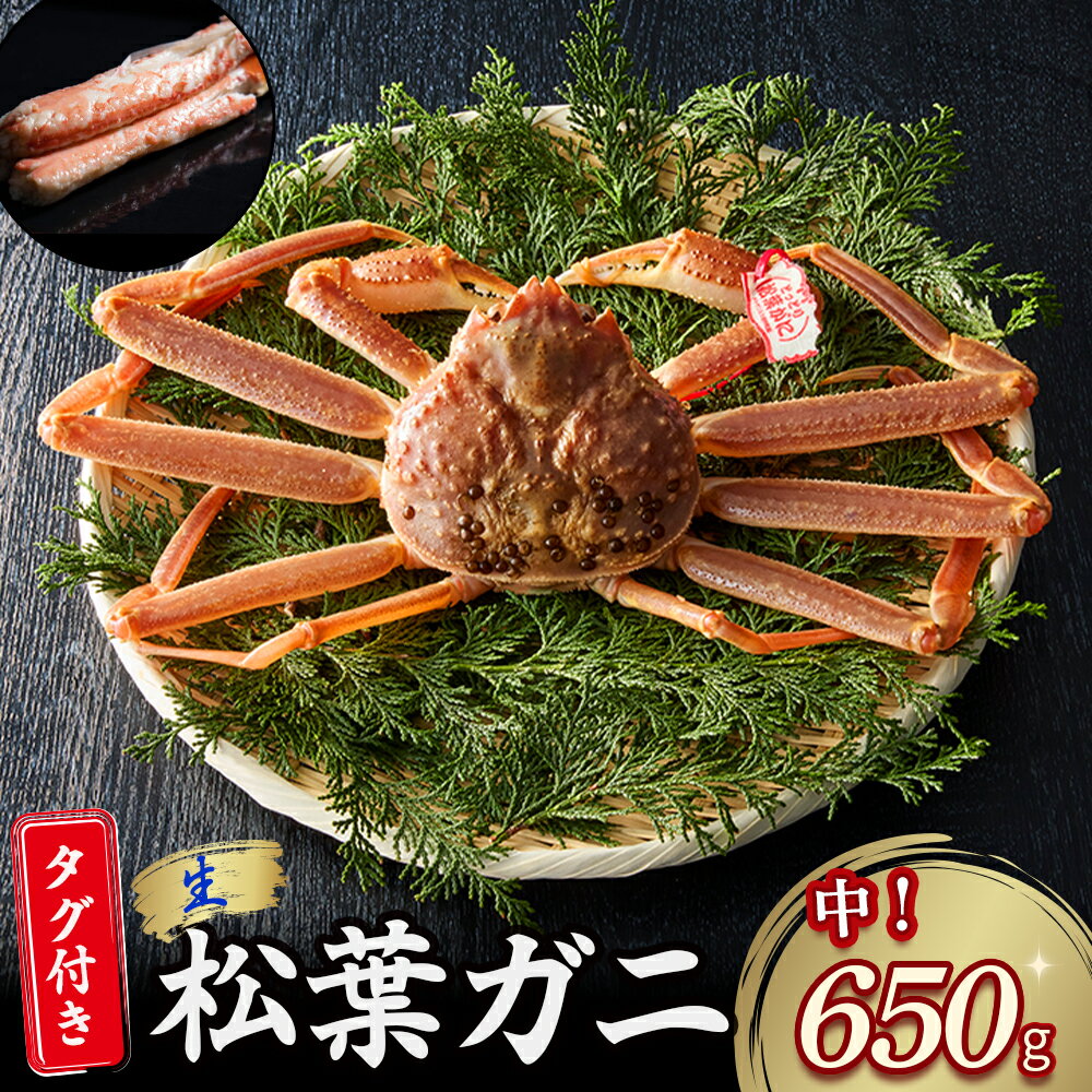 【ふるさと納税】 【魚倉】 タグ 付き 生 松葉ガニ （中650g） ズワイガニ 松葉蟹 カニ かに かにしゃぶ 【11月から3月発送予定】