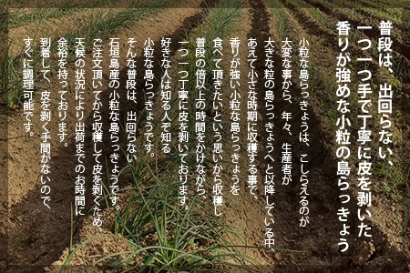 【2024年12月中旬から順次発送】島らっきょう（皮むき済み）300ｇ（100ｇ×3袋入り）KA-1