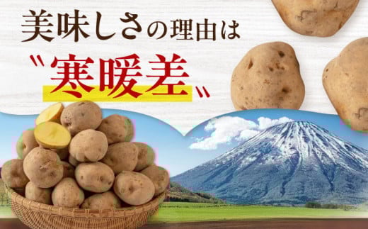 じゃがいも ジャガイモ 新じゃが 10kg キタアカリ 旬 イモ 野菜 期間限定
