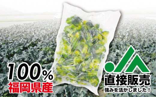【2025年3月より発送】福岡県産 冷凍ブロッコリー3kg（1kg×3袋）[F2258]