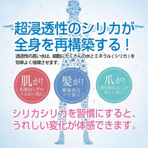 九州天然水 シリカシリカ 500ml×24本 九州 天然水 シリカ シリカ水 500ml 24本 飲料水 軟水 美容 ミネラル 大分県 玖珠町 くじゅう連山 名水百選 ナチュラルミネラルウォーター ア