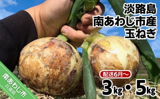 
                  【量が選べる！】淡路島 南あわじ市産玉ねぎ　◆配送6月～
                