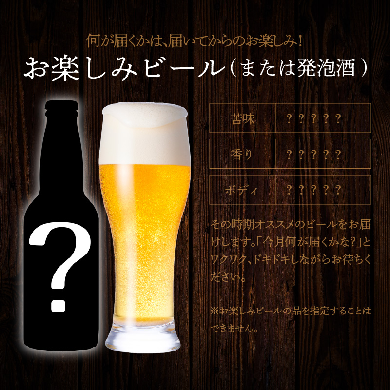 【3ヶ月定期便】宮崎ひでじビールお楽しみ6本セット N073-YZD0104_イメージ5