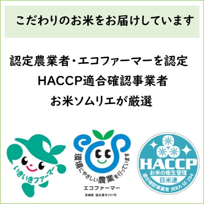 2023年8月発送開始『定期便』お米ソムリエ厳選!茨城県産ミルキークイーンのお米20kg 全12回