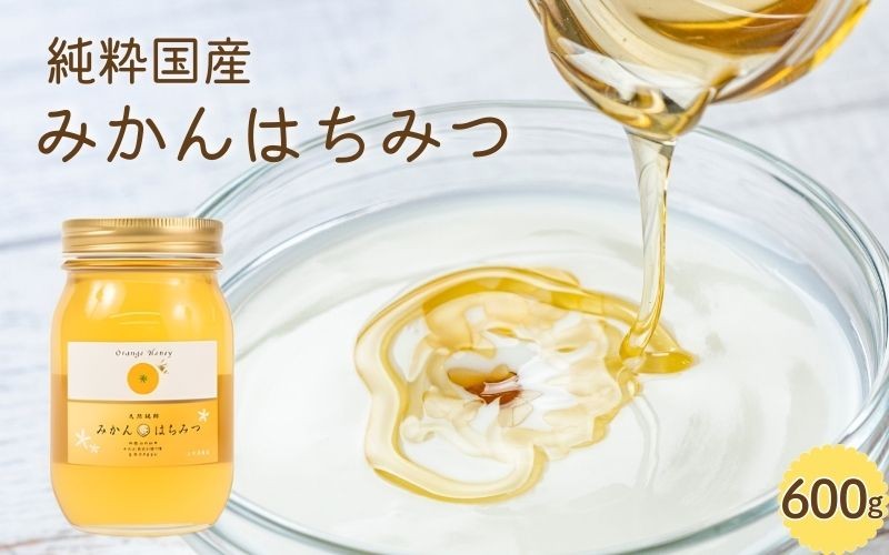 
                  【純粋国産】和歌山県産みかんはちみつ600g【2027年1月中旬～2027年1月下旬頃に発送】/蜂蜜 みかん ホットケーキ パンケーキ ヨーグルト【TM55】【TM92073-tec508B】
                