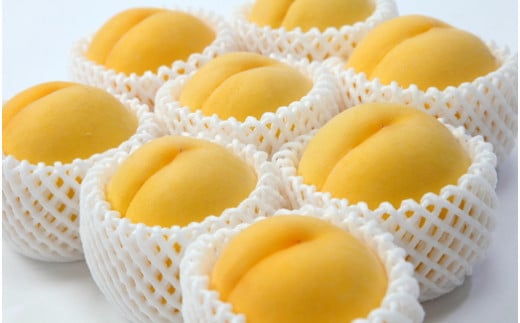 08-03-006　もも(黄桃)2kg