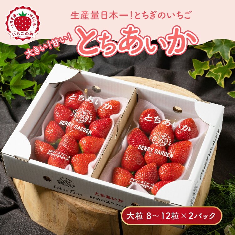 【ふるさと納税】いちご 甘さ際立つ新品種 『とちあいか』 大粒 8～12粒×2パック 58ロハスファーム【58ロハスクラブ】 ｜いちご イチゴ 苺 先行予約 栃木県 果物 くだもの フルーツ とちあいか 新鮮 贈答 ギフト 大粒 ※2026年1月中旬～5月中旬頃に順次発送予定