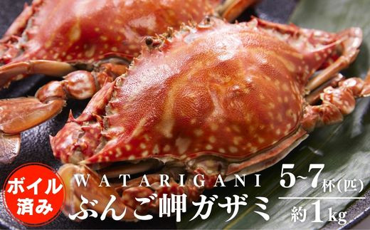 
            【先行予約】 ぶんご岬ガザミ （蒸し） 約1kg／200g前後(１匹) 養殖 ワタリガニ ガザミ ※雌雄無選別 冷凍配送 直送 カニ 蟹
          