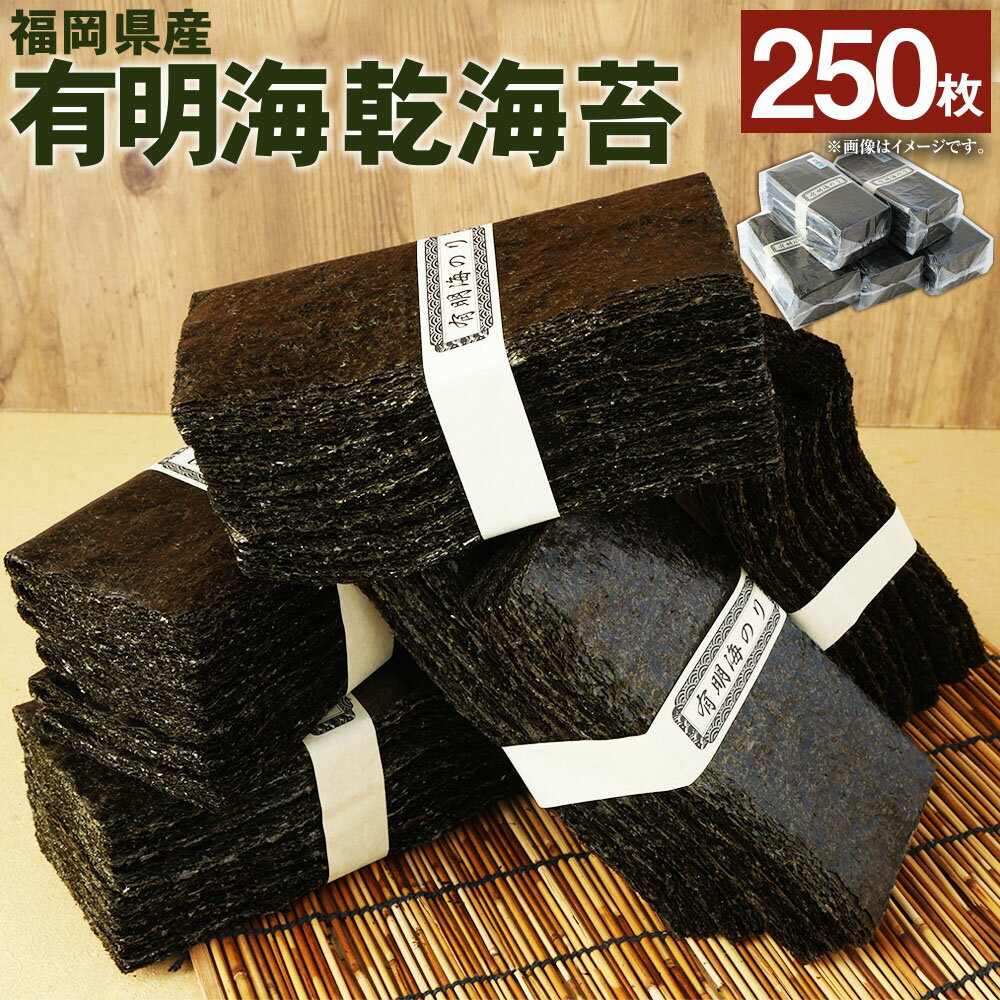【ふるさと納税】福岡県産 有明海乾海苔 50枚×5袋 合計250枚 乾海苔 のり 乾のり おにぎり 手巻き寿司 家庭用 国産 九州産 福岡県 大任町 送料無料