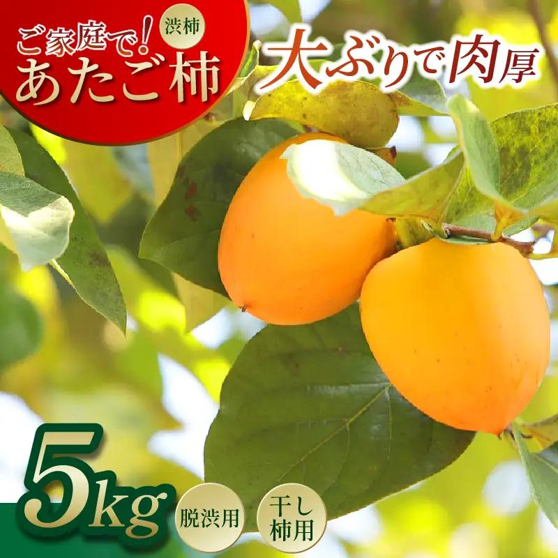 あたご 柿 しぶがき 5kg【 柿 】