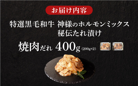 【 スピード発送 】【 特選 黒毛和牛 】 神様のホルモンミックス 秘伝たれ漬け 400g（焼肉だれ2p）