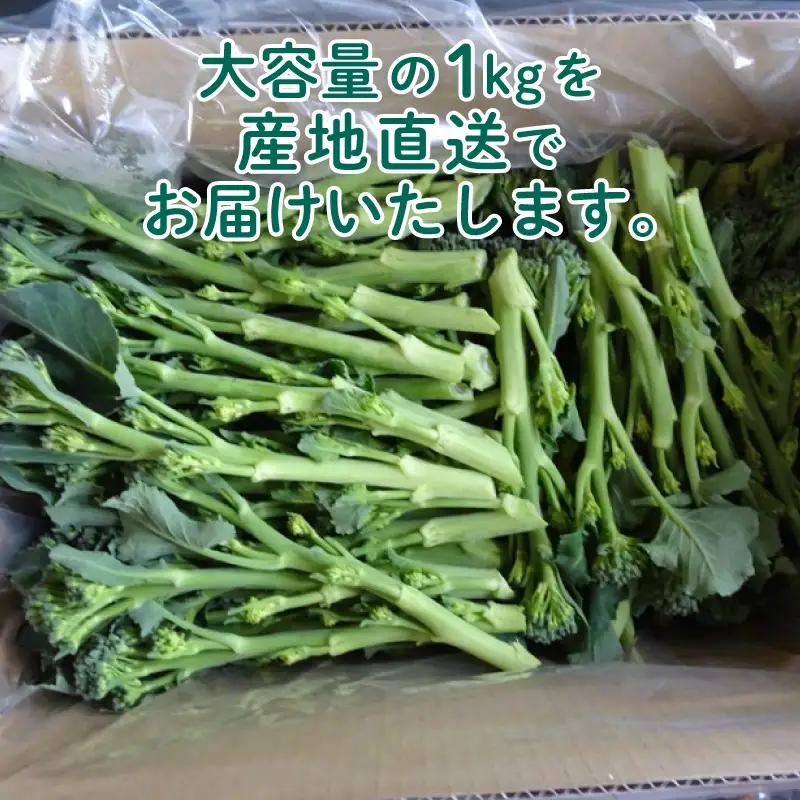 茎 ブロッコリー 1kg IM004-z