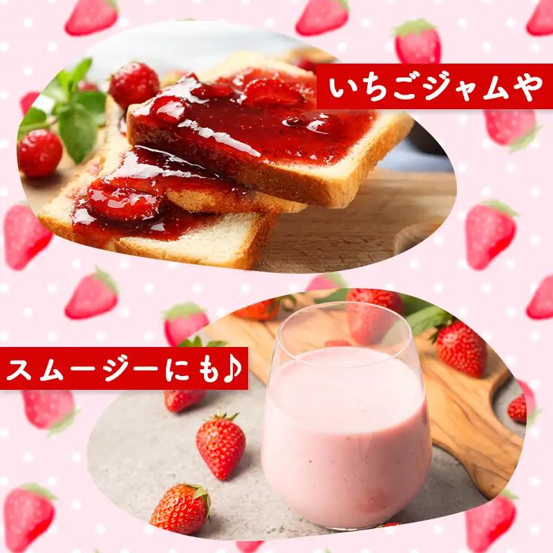 苺 【2027年2月中旬以降発送】 250g×6P 1.5kg 先行予約 かおり野 苺