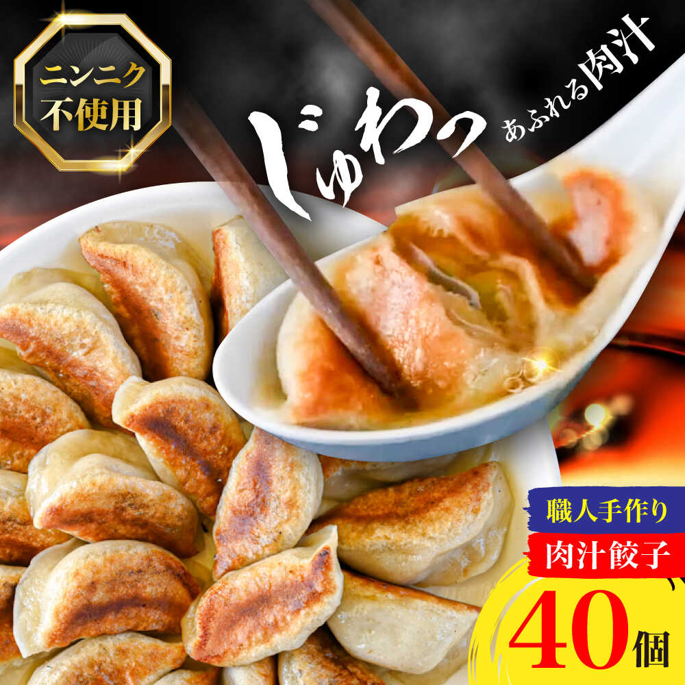 【ふるさと納税】肉汁餃子 40個 / 餃子 ぎょうざ 冷凍 ギョーザ ニンニク 不使用 / 稲沢市 / 餃子の元博千年[BMBQ001]