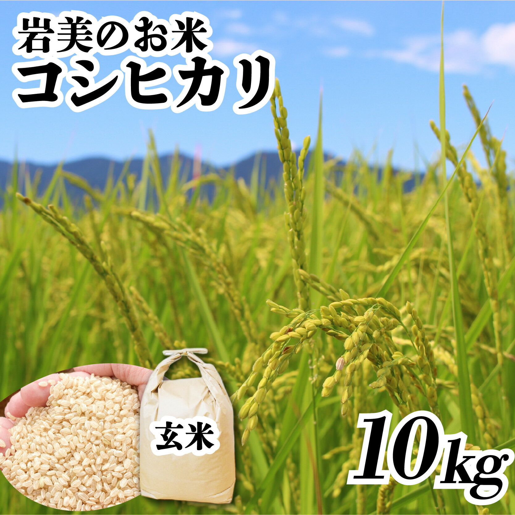 【ふるさと納税】【令和8年産 先行予約】コシヒカリ（玄米）10kg｜鳥取県岩美町産 鳥取 岩美 吉田美宝農園 こしひかり 【31033】