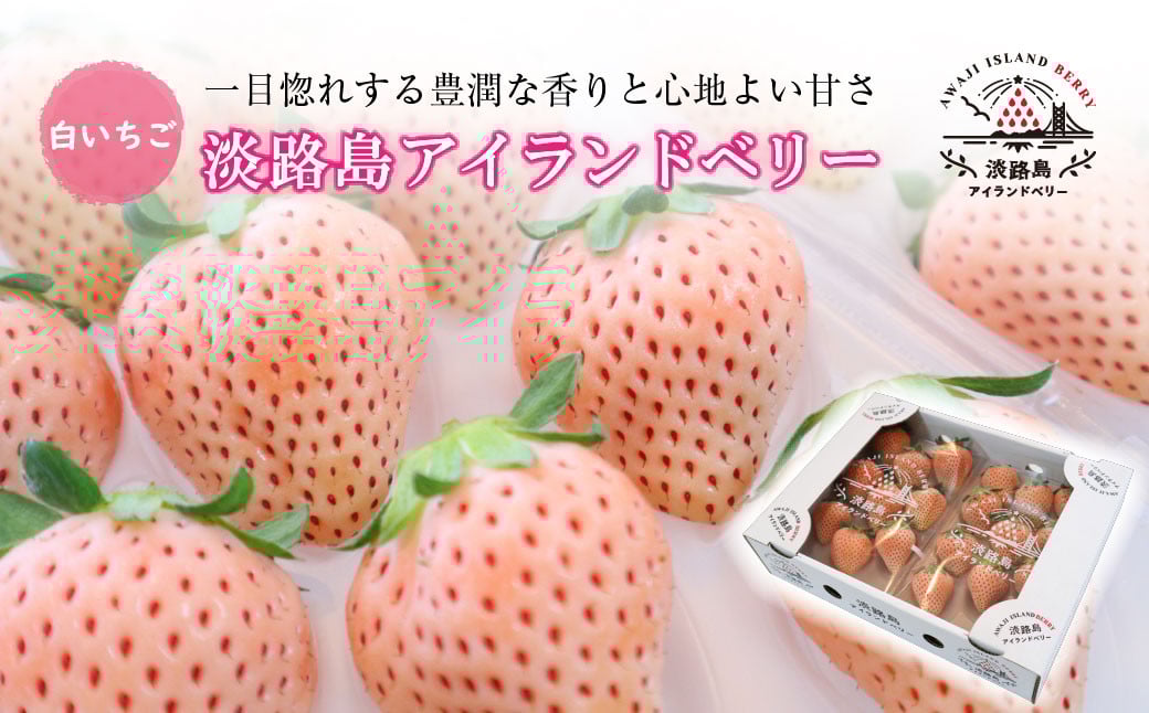
                  淡路島アイランドベリー 白苺淡雪 2パック入【2026年2月～4月発送予約受付・お届け日指定不可】
                