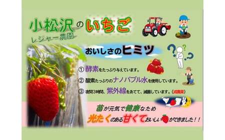 いちご あまりん 300g×2パック | イチゴ いちご 横瀬町