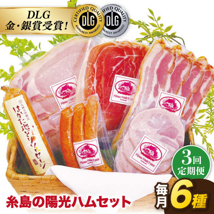 【全3回定期便】 糸島の陽光 ハム セット 糸島市 / 志摩スモークハウス [AOA008]