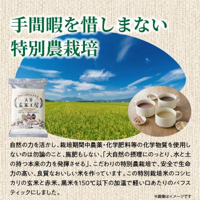 ふるさと納税 天草市 特別栽培米からできた3種の玄米スティック　50g×5袋_S067-035 |  | 02