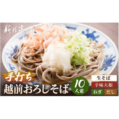 【越前おろしそば】 10人前(辛味大根・ねぎ・だし付き) 冷蔵【配送不可地域：離島・北海道・沖縄】【1625131】