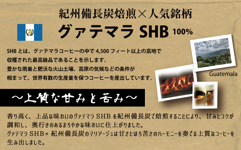 紀州備長炭焙煎「グァテマラSHB」 中挽き  600g (300g×2袋) ※包装・のし対応 ※  / 田辺市 珈琲 コーヒー 紀州備長炭焙煎 ドリップバック  飲み比べ 【mor015-2】