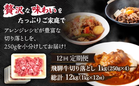 ＼贅沢な味わいをご家庭で／ 【12回定期便】【飛騨牛】切り落とし 総計12kg 〈1回あたり〉1kg (250g×4)【肉のひぐち】 国産 ブランド牛 和牛 BBQ キャンプ  [TDC016]