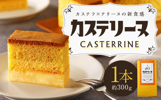 【14営業日以内発送】長崎カステリーヌ 1本 ( 約 300g ) ／ スイーツ カステラ テリーヌ お菓子 デザート 新感覚 新食感 タナカヤ
