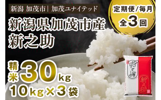 【令和7年産新米先行予約】【定期便3ヶ月毎月お届け】新潟県産 新之助 精米 30kg（10kg×3袋）《10月上旬から順次発送》 新潟 ブランド米 加茂市 加茂ユナイテッド