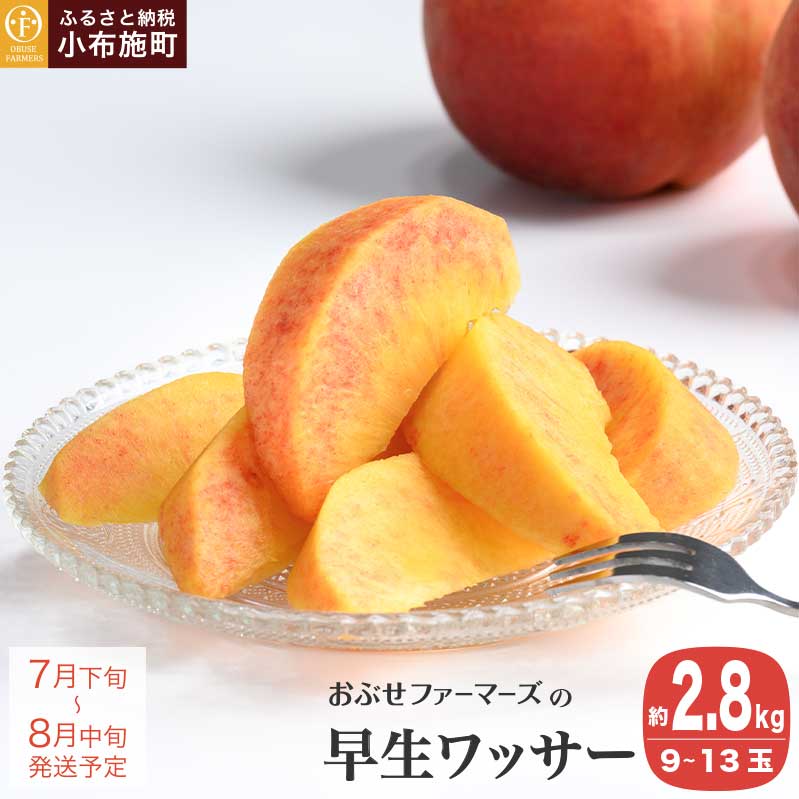 【ふるさと納税】早生ワッサー 約2.8kg 9～13玉 ［おぶせファーマーズ］果物 フルーツ 長野県産 信州産 クール便 冷蔵便 長野県産 信州産 先行予約 数量限定 産地 直送 お取り寄せ 産地直送 送料無料 令和7年産【2025年7月下旬〜8月中旬発送】