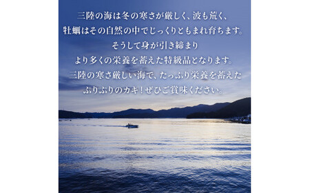 【先行予約】牡蠣むき身 500g 殻付き牡蠣 6個 お楽しみセット 牡蠣 かき カキ むき身 殻付き セット 魚介 魚介類 貝 海鮮