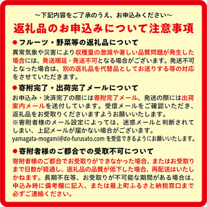 方言トートバック【3色セット】カーキ・グレー・ブラック