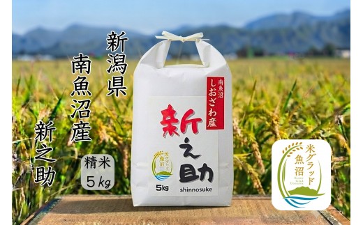 
                  【令和8年産 新米】新潟県南魚沼産　新之助　5kg　大粒でツヤがあるこれまでにないお米
                