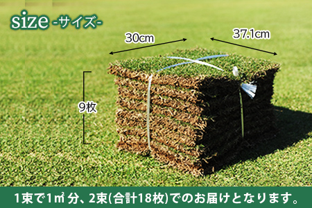 ＜姫高麗芝 2平方メートル＞※2か月以内に順次出荷【c591_hg_x2】