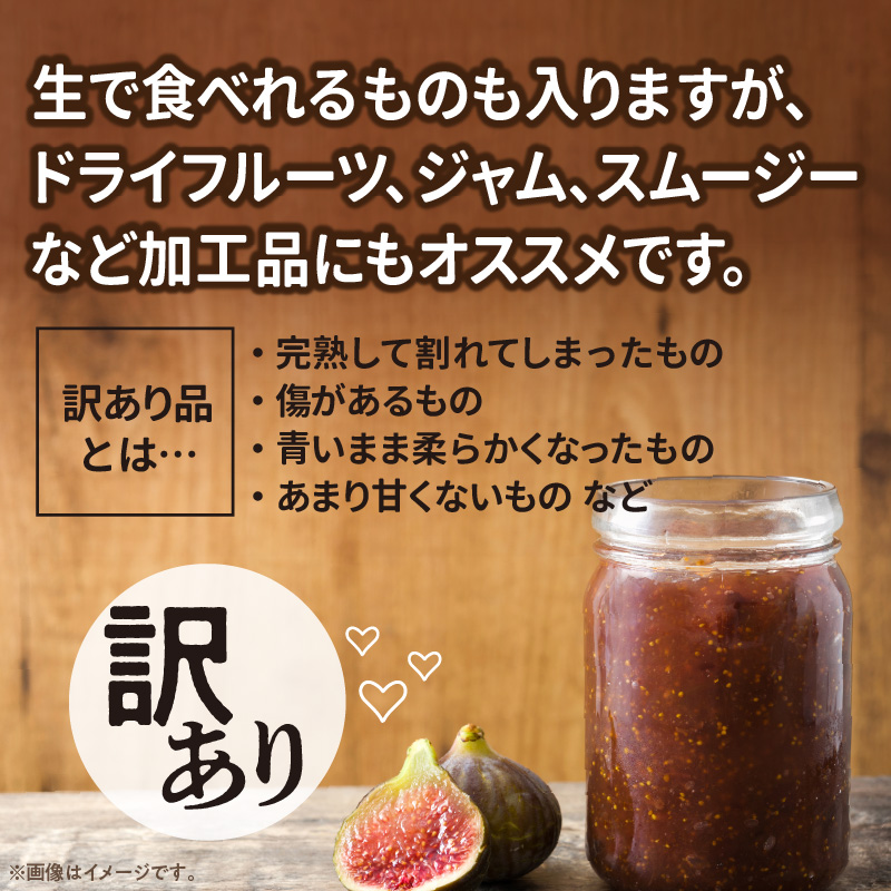 SDGs米糠循環農法で育てた樹上完熟イチジク　訳あり品1キロ以上（サイズ混合18個）×2箱【産地直送2026年8月より順次出荷】＿イチジク 訳あり品 1キロ 以上 サイズ 混合 18個 × 2箱 SD