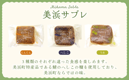 若狭ロマン美浜菓子 16個セット【ギフト 母の日 父の日 こどもの日 敬老の日 プレゼント 和菓子 焼菓子  洋菓子 詰め合わせ セット 個包装 スイーツ お菓子 デザート】 [m02-a005]