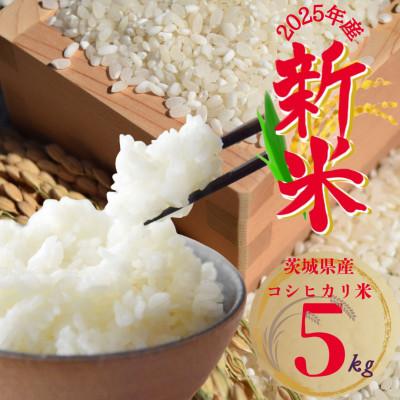 ふるさと納税 かすみがうら市 2025年新米 茨城県産 コシヒカリ米(精米)5kg