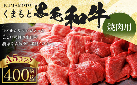 
A5 ランク くまもと 黒毛和牛 焼肉用 400g 牛肉 和牛
