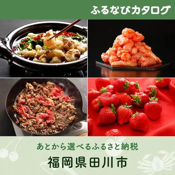 【有効期限なし！後からゆっくり特産品を選べる】福岡県田川市カタログポイント