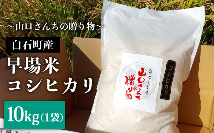 
            【先行予約】【令和7年度産新米】特別栽培米 早場米 コシヒカリ 10kg（10kg×1）～山口さんちの贈り物～【y'scompany】米 お米 コシヒカリ こしひかり 早場米 特別栽培米 白米 お米 [IAS002]
          